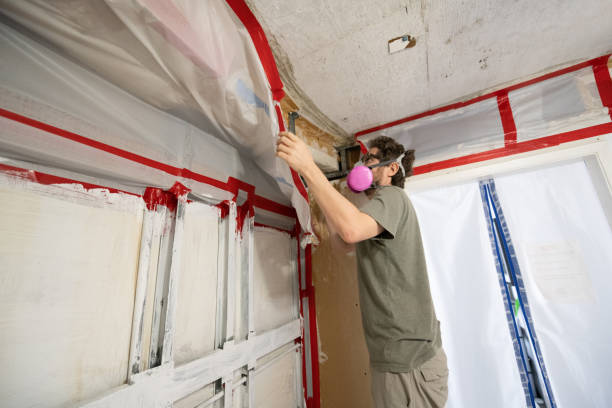 Best Comprehensive Air Testing for Mold Contaminants  in Celina, TN